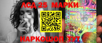 сатива Ставрополь
