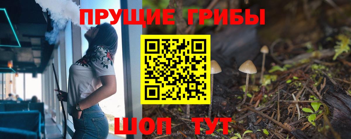 Псилоцибиновые грибы Psilocybe  Псилоцибиновые грибы Psilocybine cubensis  Вход с VPN  Братск 